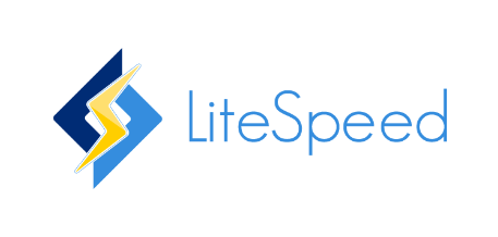 LITESPEED-WEBPLIFY-AGENCE-WEB-SIMPLIFIÉ-4